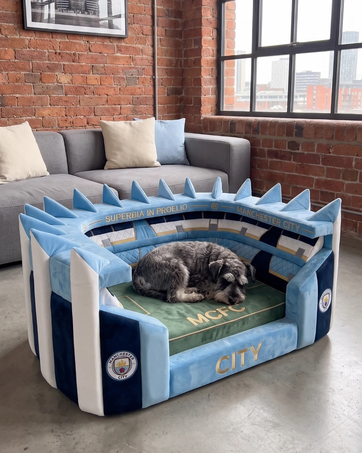 Stadium Dog Bed™ Manchester City